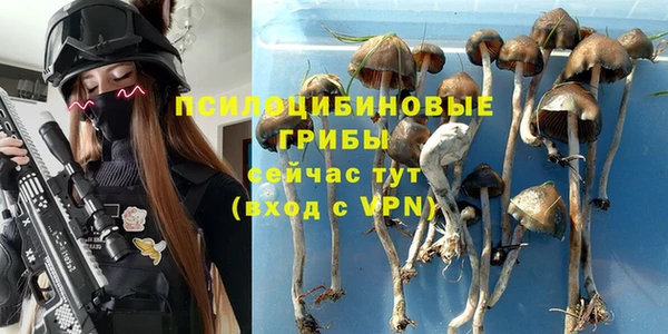 таблы Белокуриха