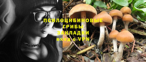 ALPHA PVP Беломорск