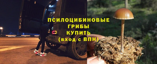 таблы Белокуриха